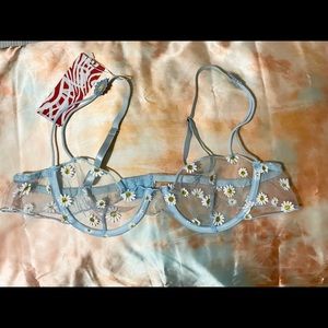 2 piece matching lingerie set. Blue mesh, daisies, glitter/ribbon accents.